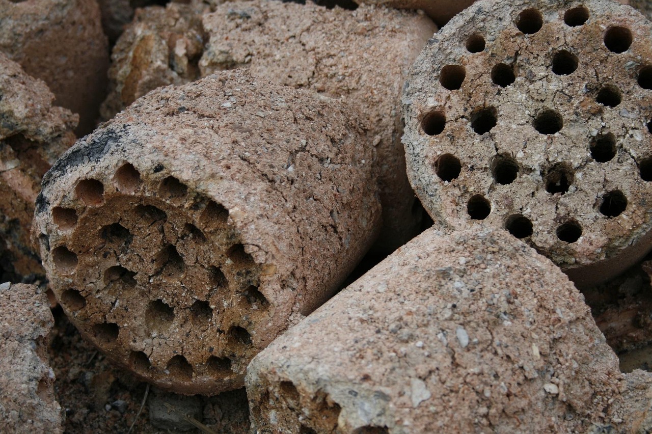 Bio Briquettes