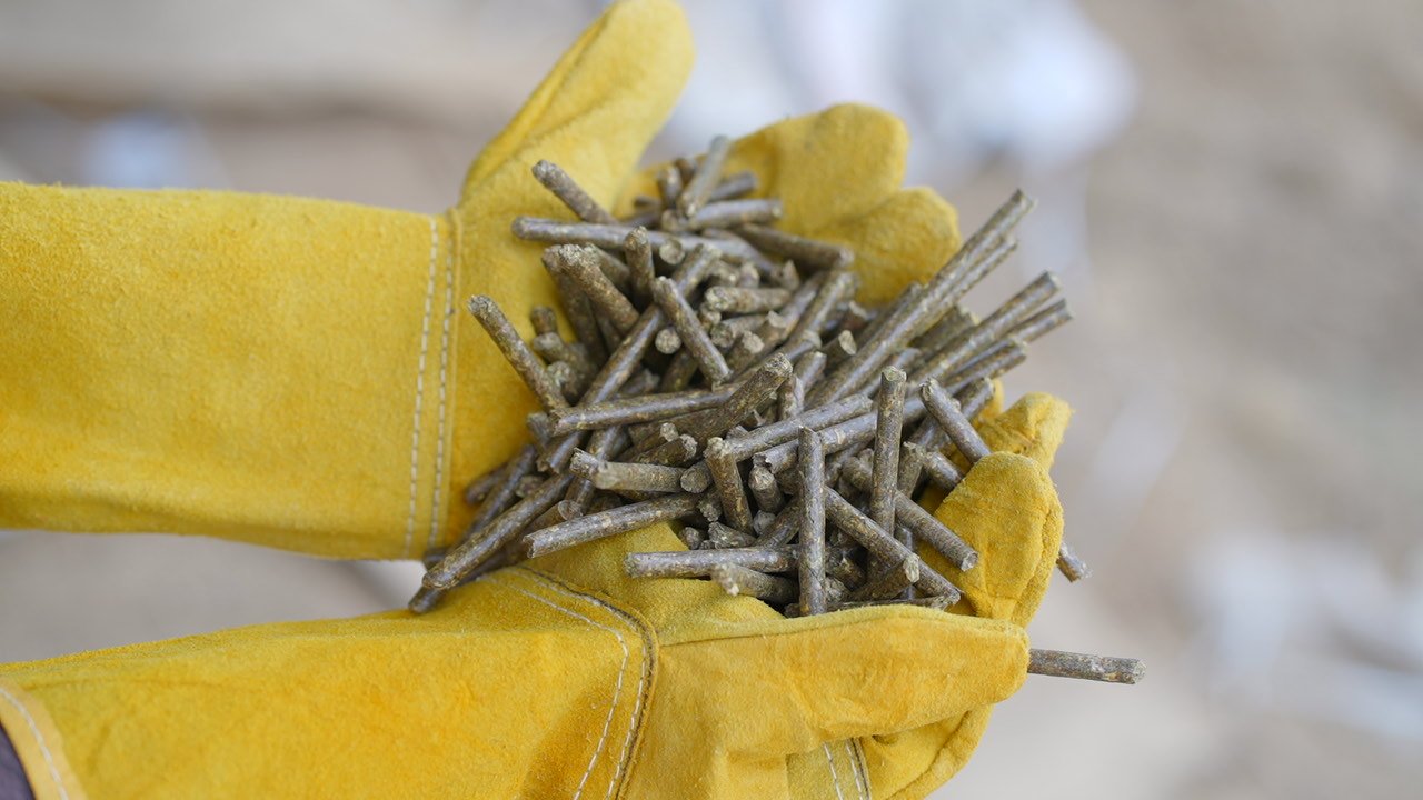 Bio Pellets Close Up